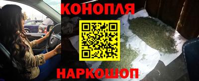 spice Кингисепп