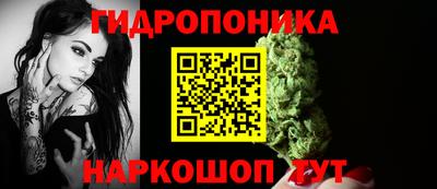 spice Кингисепп
