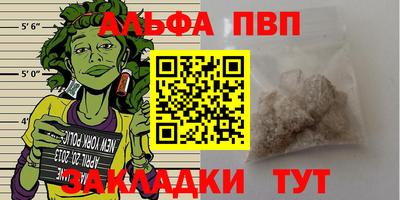 spice Кингисепп