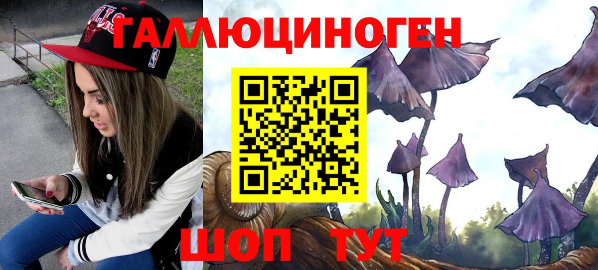 Крымск  Псилоцибиновые грибы ЛСД  Псилоцибиновые грибы прущие грибы  Вход с VPN 