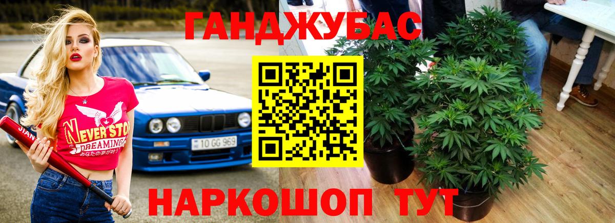 Конопля марихуана Крымск